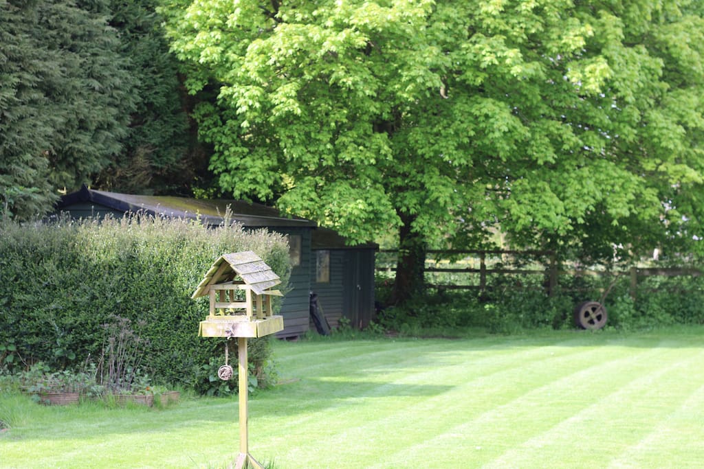 Access to large garden!