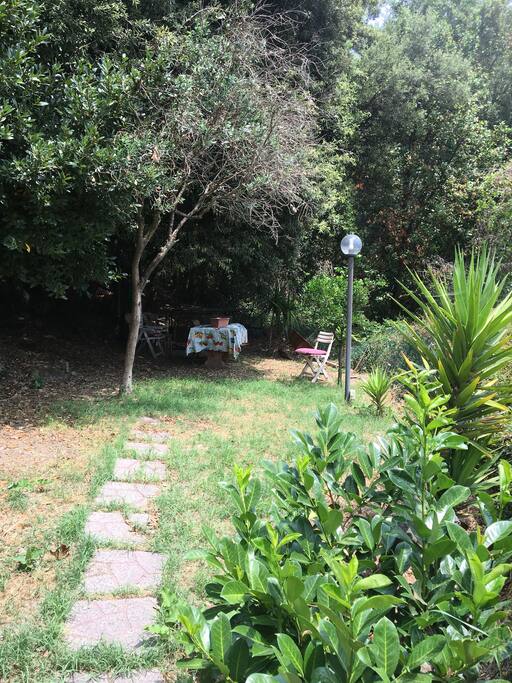 GIARDINO