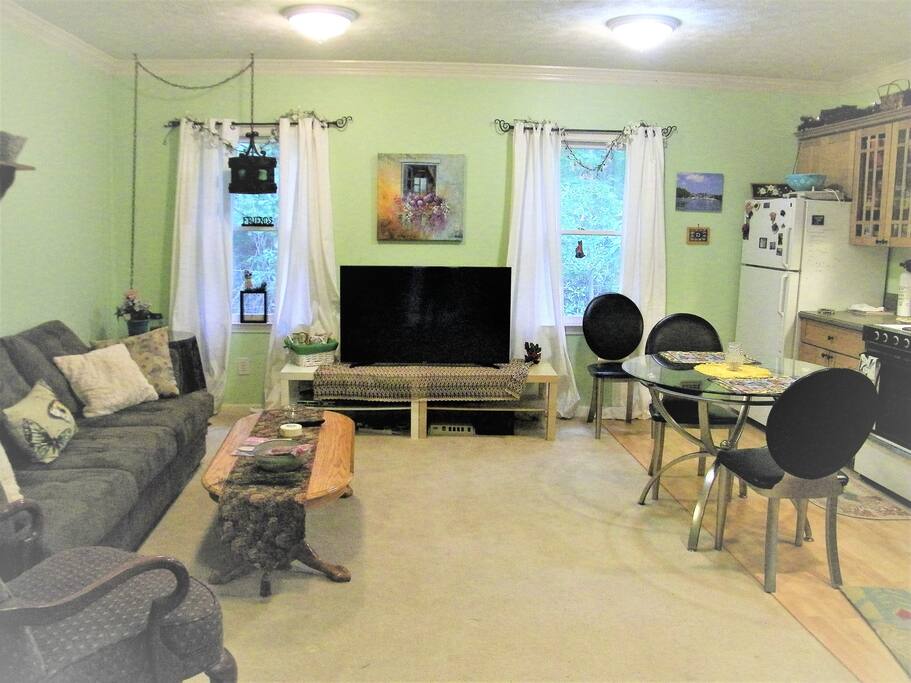 Living/Kitchen area