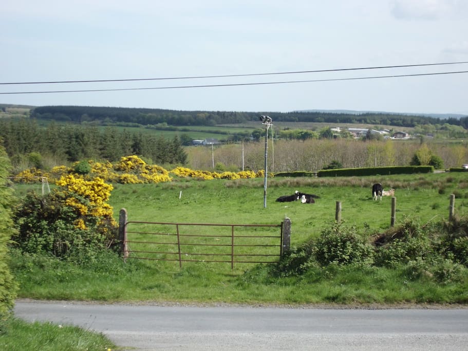 Countryside walks and views