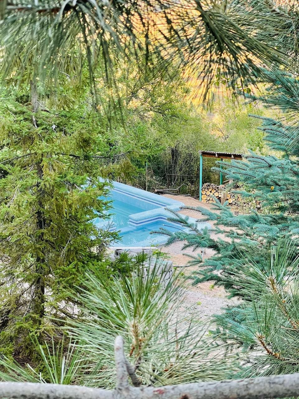 A serene swimming pool is nestled among lush greenery, providing a secluded environment. Surrounding conifer trees create a natural frame, while a covered area in the background hints at additional outdoor amenities, adding a sense of tranquility to the scene.