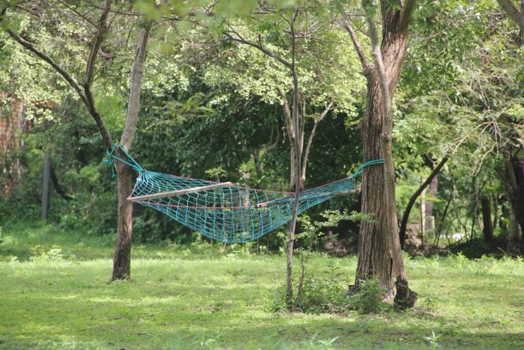 Garden to relax