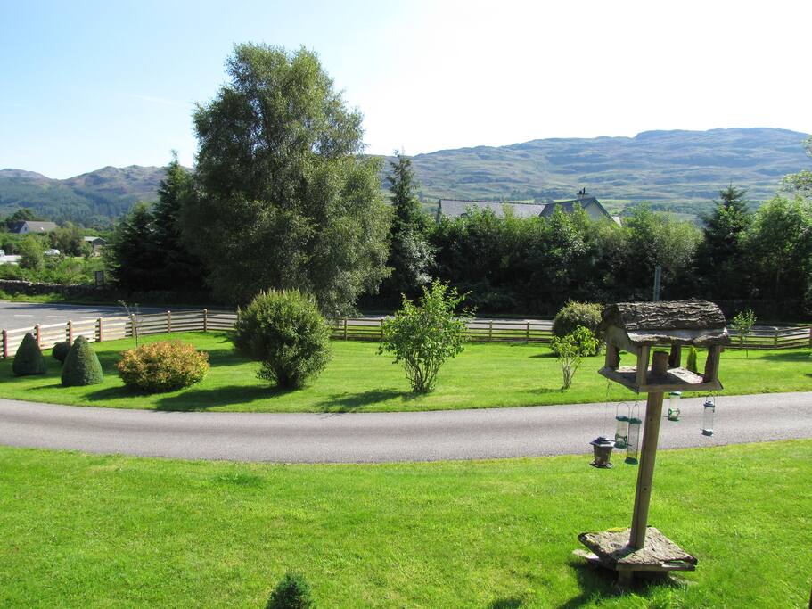 View from Dining Room