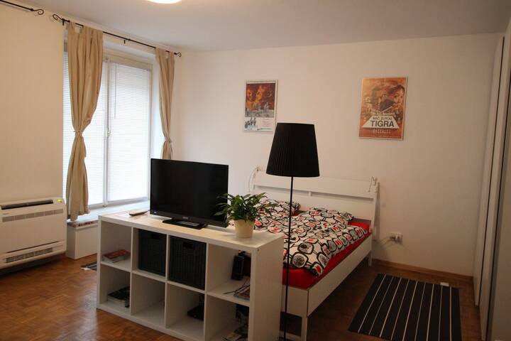 Lovely studio in city center