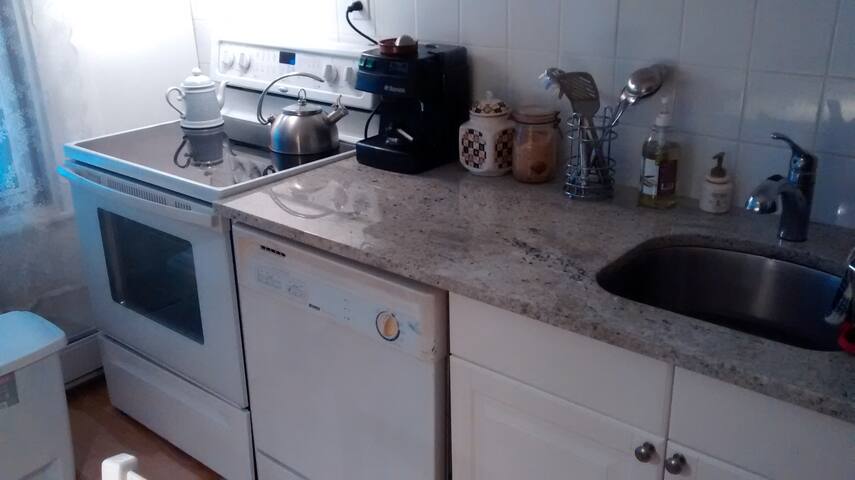 Magnifique 5 1/2 , PLATEAU MT-ROYAL gallery image 5