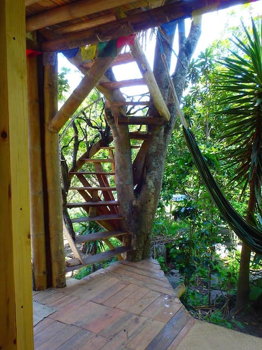 "Through-the-tree" spiral stairs lead to two of our private rooms
