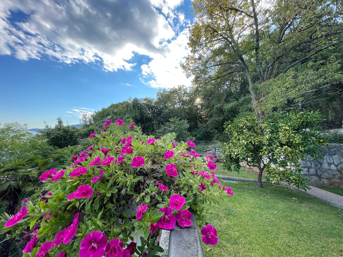 A lush outdoor space is depicted with vibrant pink flowers in full bloom, contrasting against a backdrop of green grass and trees. The area showcases a serene landscape, inviting relaxation and enjoyment of the natural surroundings.