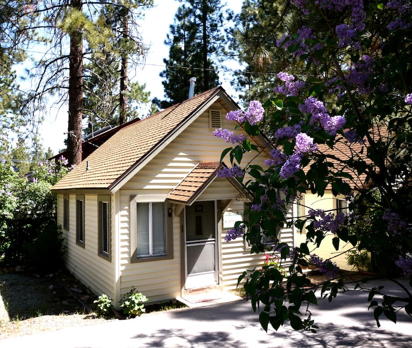 Cozy Big Bear Cabin - Wild Flower - Cabins for Rent in Big ...