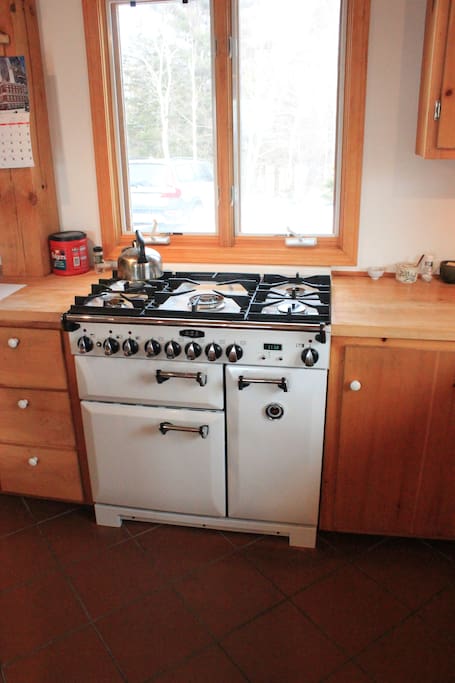 There is a regular stove as well