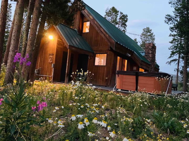 Cozy Mountain Retreat on Peak Seven Houses for Rent in Breckenridge