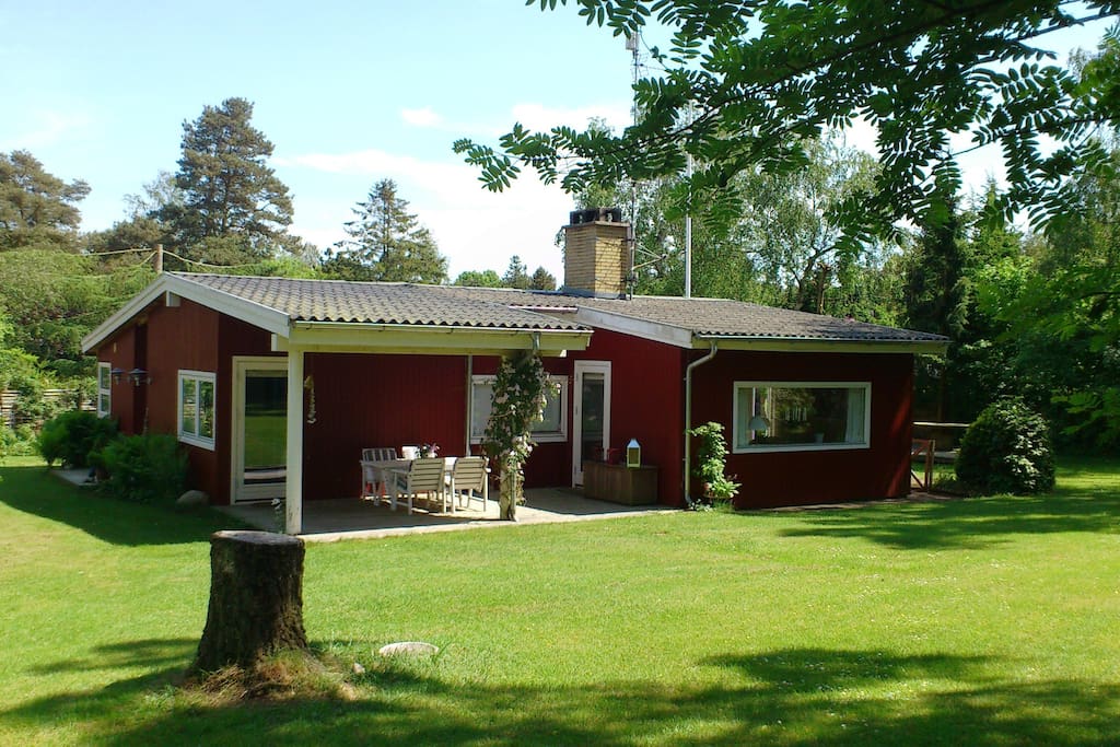 Part of the garden