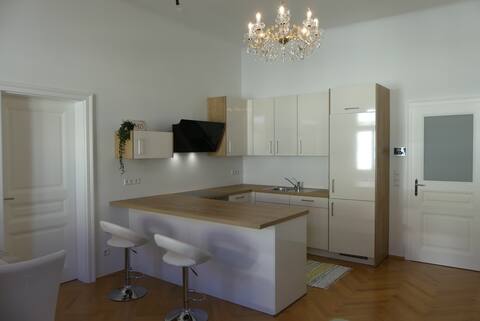 NEU sanierte LUXUS Altbauwohnung im HERZEN Wiens