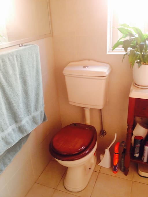 Ensuite bathroom - toilet and shower