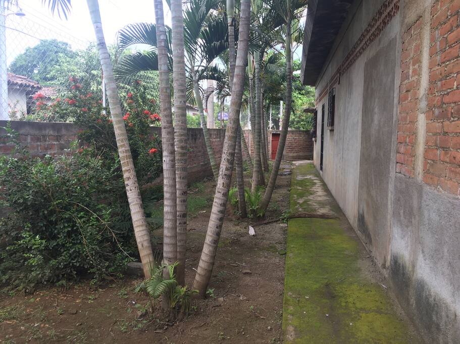 Casa de esquina con muro perimetral.Acceso peatonal y acceso trasero para vehiculos. Propiedad rodeada de arboles y palmeras que brindan clima fresco.Disponibilidad para parqueo de 8 vehiculos dentro de la propiedad.