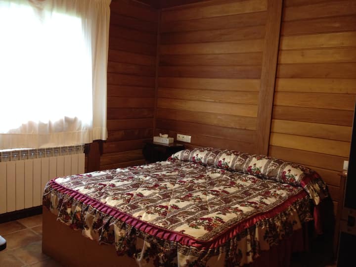 Habitación 1
