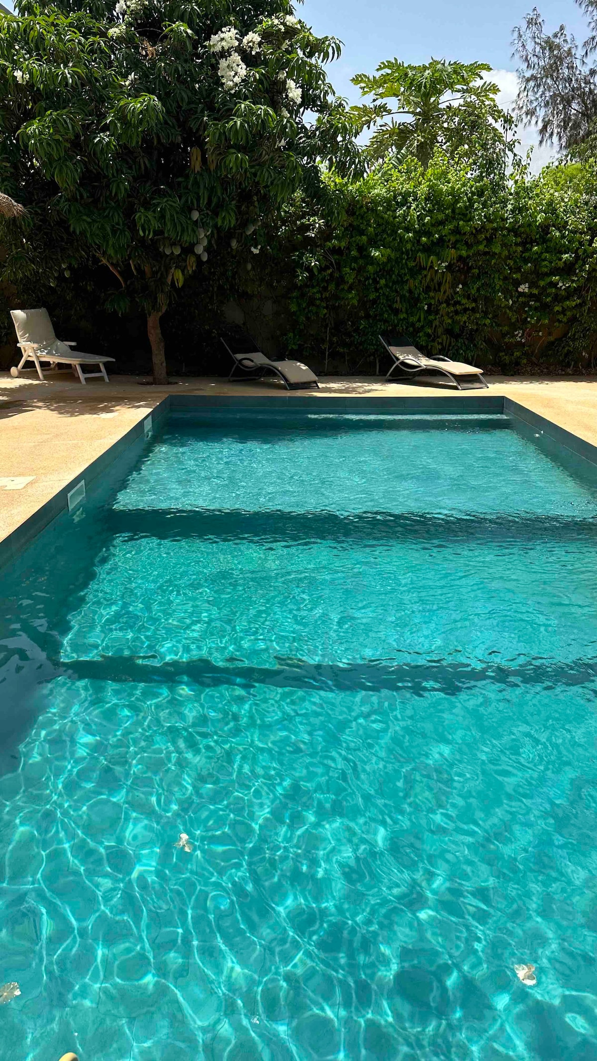 A serene swimming pool is surrounded by lush greenery, with light reflecting off the clear water. Two lounge chairs sit at the pool's edge, offering a comfortable spot to relax in the sun.