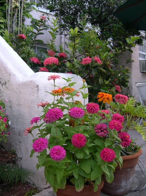 Gardens