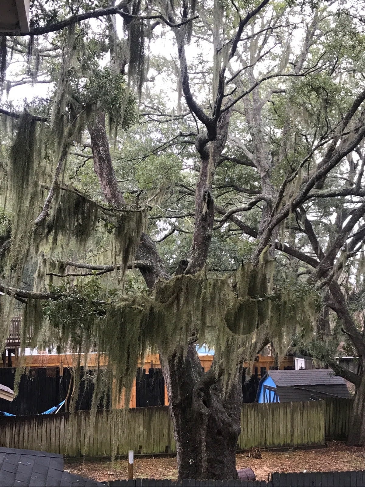 נוף מחדר השינה הראשי