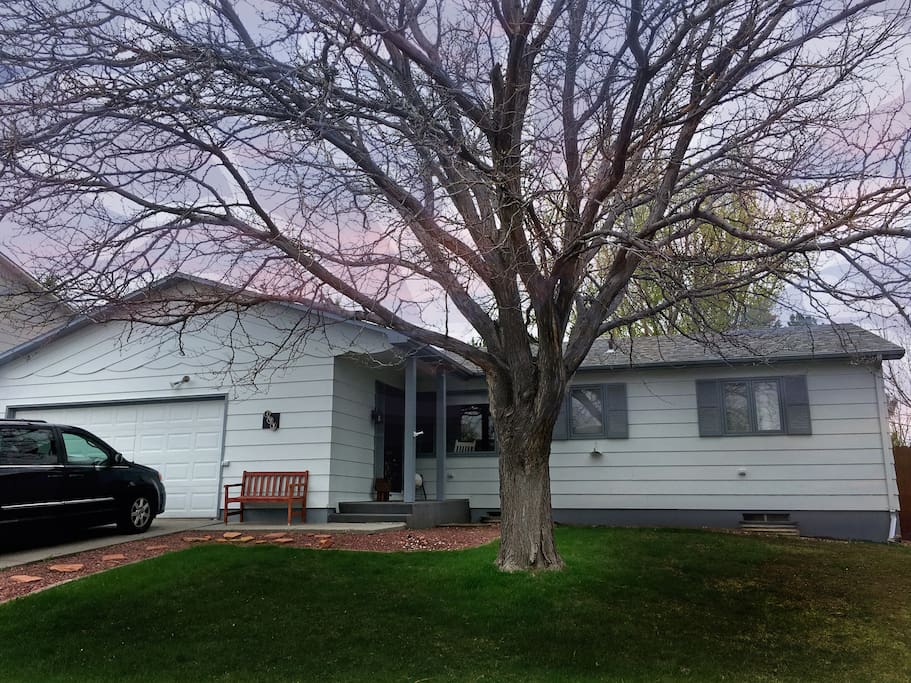 Front of the House
