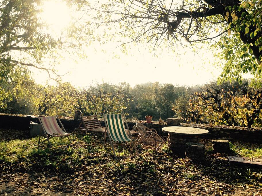 sous les arbres devant la maison