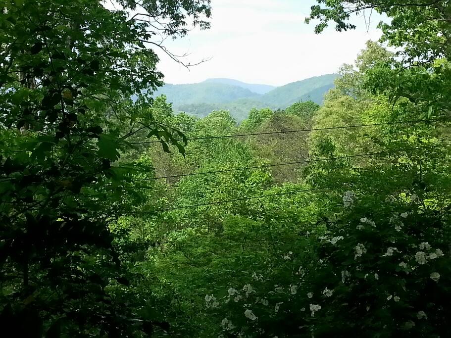 Another view from the deck.