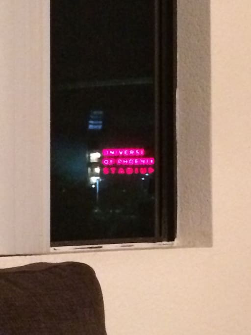 View of the stadium from the living room