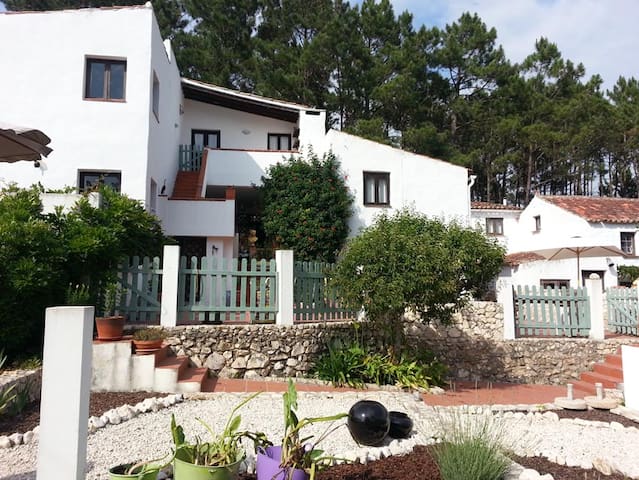 CasaJoia  Loft Studio  AL35839 Sept Prices Lowered