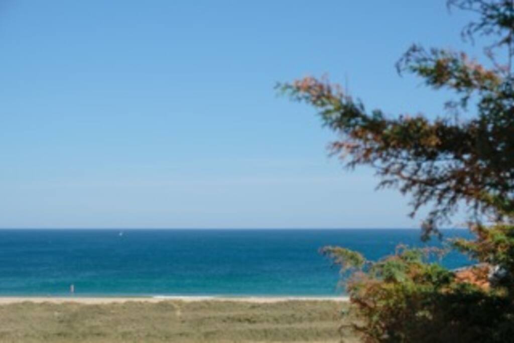 Meia-Praia view