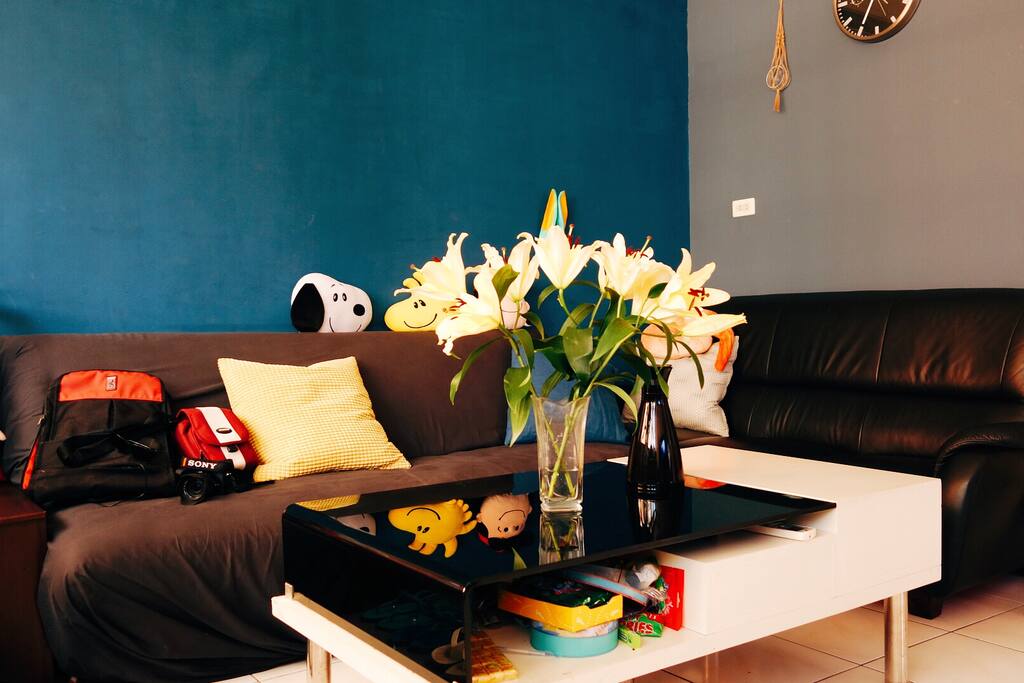one couch-bed, one sofa