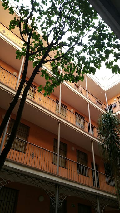 Patio Interior