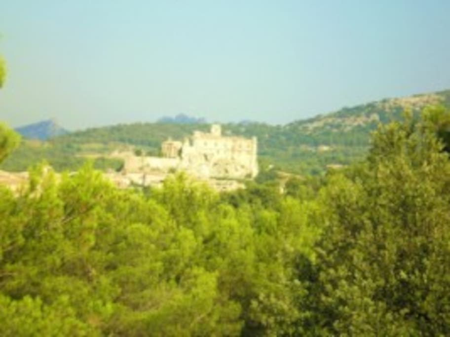 Vue sur le château