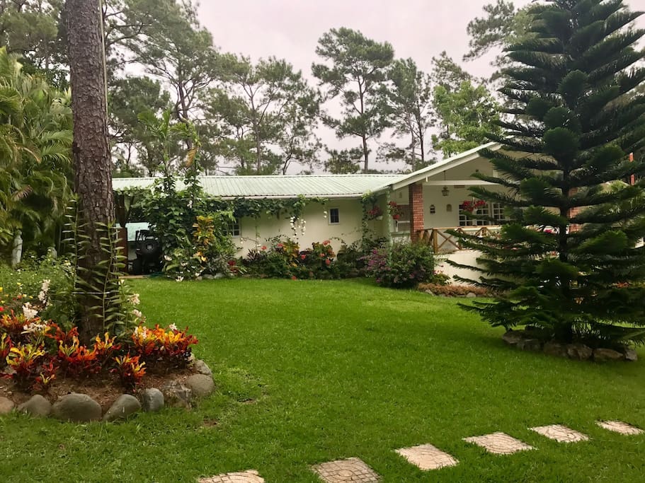 Gorgeous landscaping