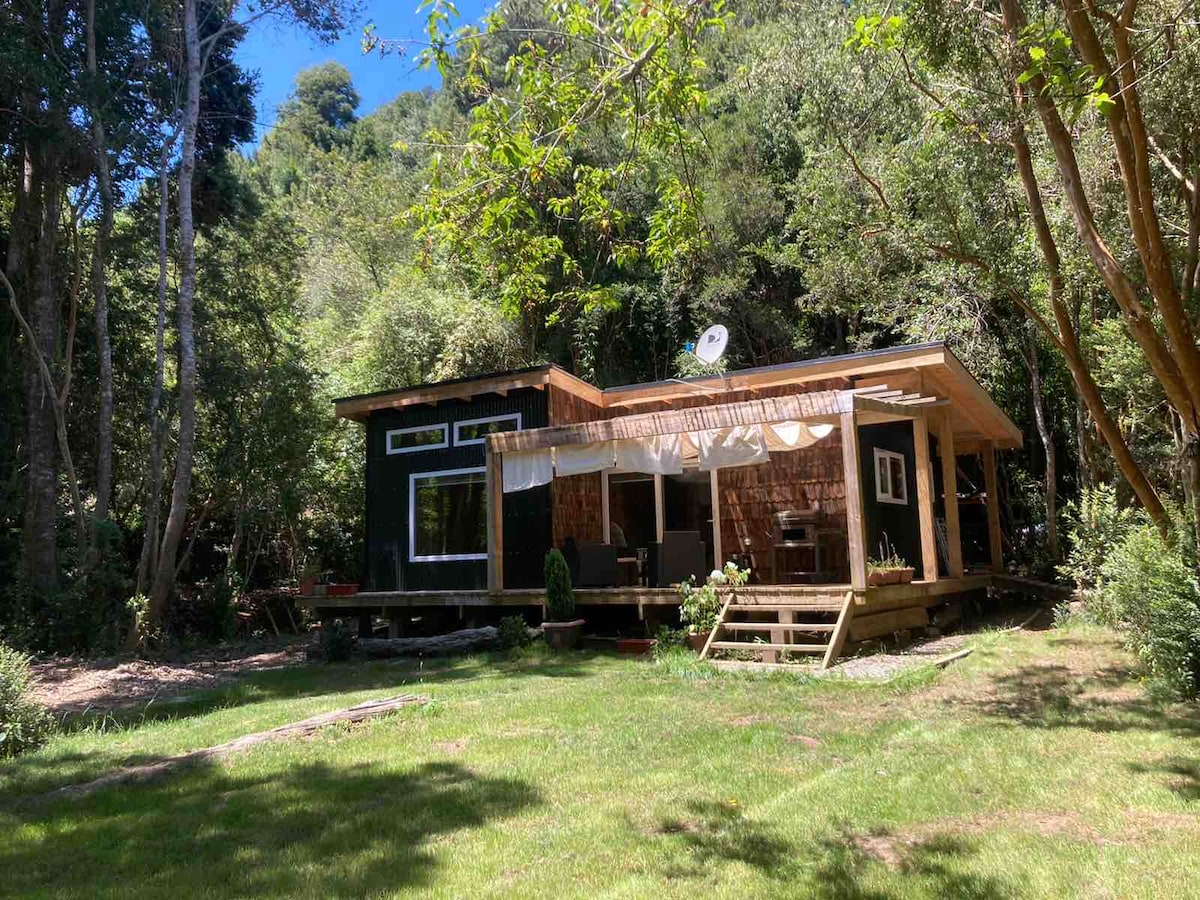A cozy cabin is nestled among tall trees, featuring a wooden deck that extends around the structure. Large windows allow natural light to fill the interior, while outdoor spaces with greenery provide a serene environment for relaxation.