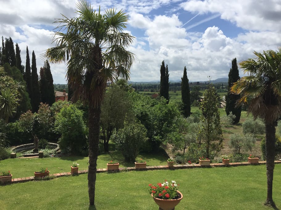 garden
