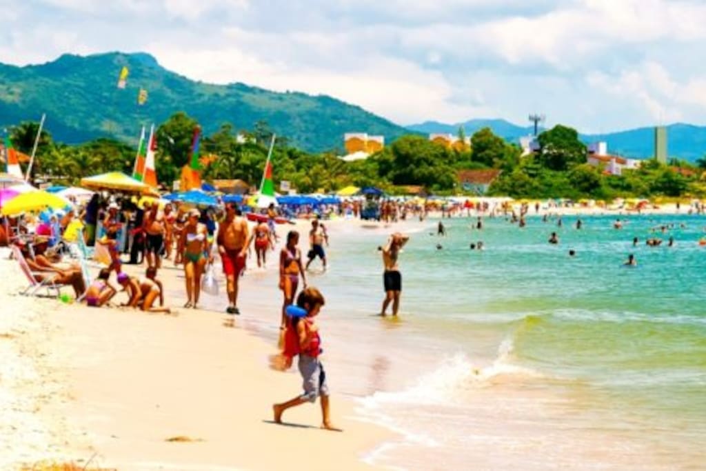 Praia onde estamos localizados: Cachoeira do Bom Jesus
Foto em Janeiro 2018