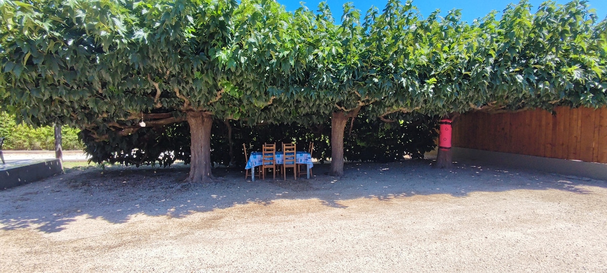 A shaded outdoor dining area is nestled under large trees, featuring a table set with four wooden chairs. The ground is covered with gravel, creating a rustic ambiance for leisurely meals in a tranquil environment.