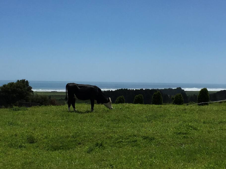 Meet the neighbours