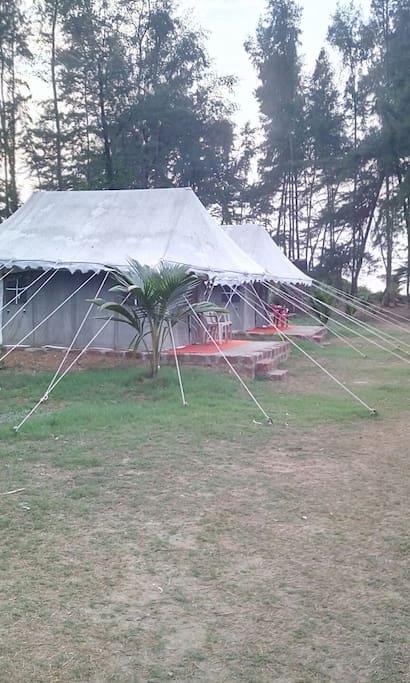 Swiss Cottage Tent surrounding