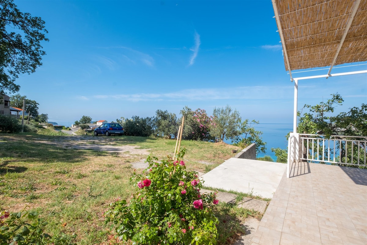 A spacious outdoor area is present, featuring green grass and flowering bushes with pink blooms. A paved patio area adjoins the terrace, offering sea views and a clear blue sky above. The surrounding landscape includes trees and distant structures, creating a tranquil environment.