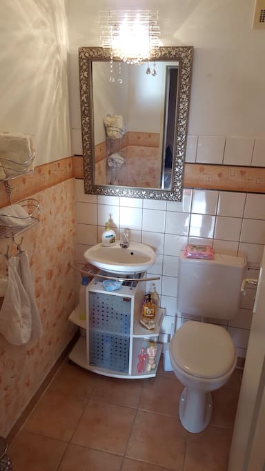 This will a private WC for the guest. It is clean and all you need is available