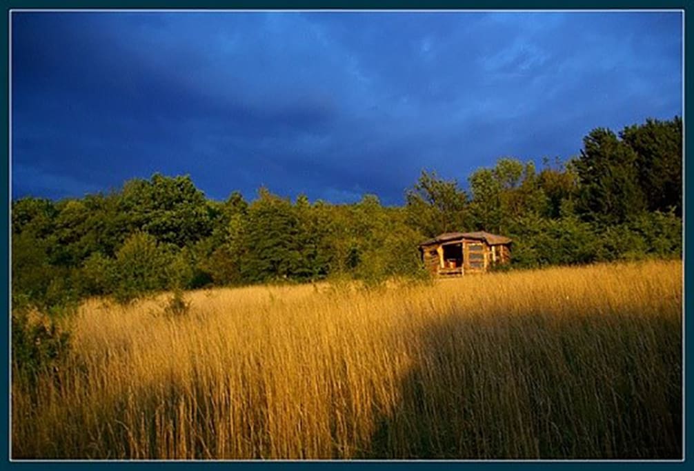 Er steht hoch oben auf dem Berg, mit wunderbarem Ausblick in die Weite, in das Tal, überall Natur