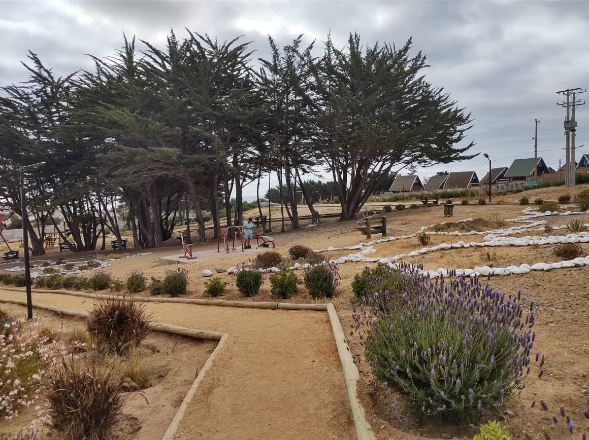 A landscaped area features paths lined with low shrubs and sand, complemented by clusters of flowering plants. Tall trees provide shade, with benches situated for relaxation. In the background, a few structures are visible, indicating nearby accommodations.