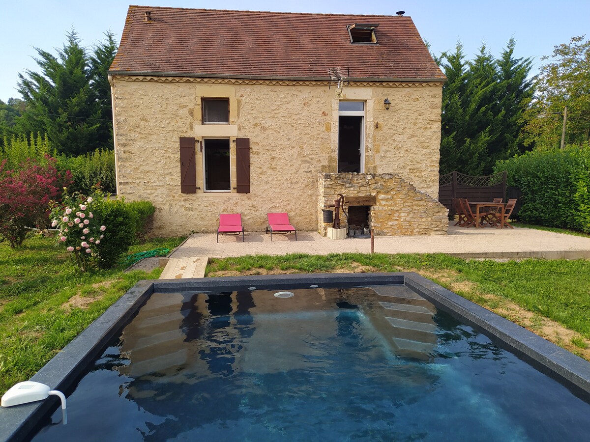 A charming stone house is framed by lush greenery, featuring dark shutters and a sloping roof. A small pool with a dark border sits in the foreground, accompanied by two pink lounge chairs. A patio area with additional seating is visible beside the pool.