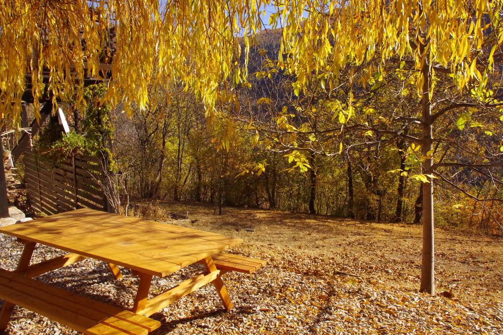 Table dans le jardin barbecue