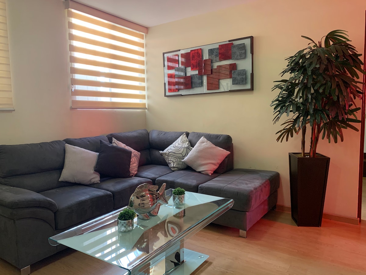 A modern living area features a gray sectional sofa adorned with decorative cushions. A sleek glass coffee table sits in the center, complemented by small potted plants. Natural light filters through the striped window shades, and a wall art piece adds a pop of color.