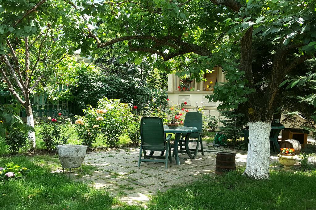 Summer garden