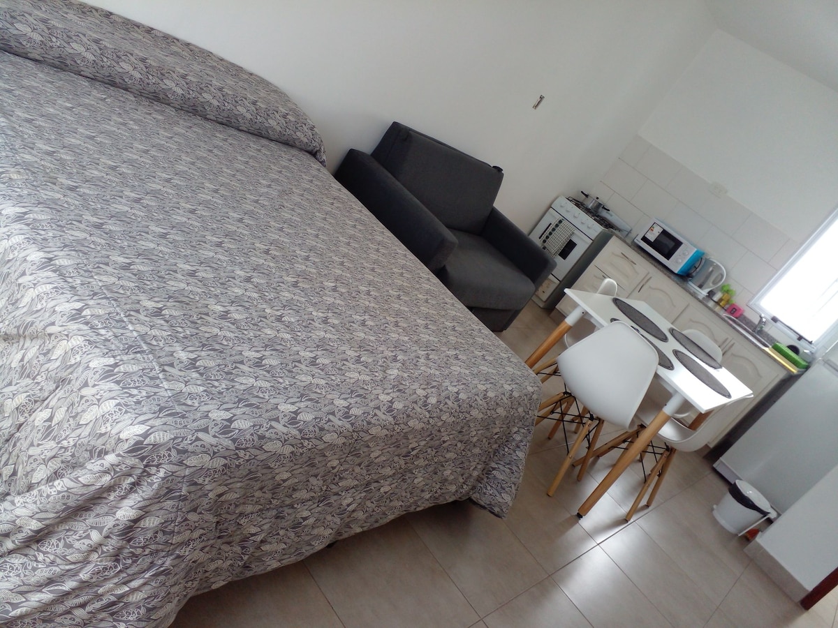 A spacious sleeping area features a large bed with a patterned coverlet. In the background, a seating area is visible with a gray armchair. A small dining table with white chairs sits in front of a kitchenette equipped with modern appliances.