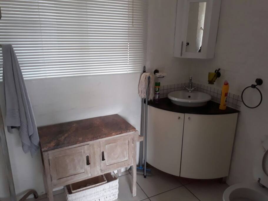 Bathroom cupbord, Basin & Toilet