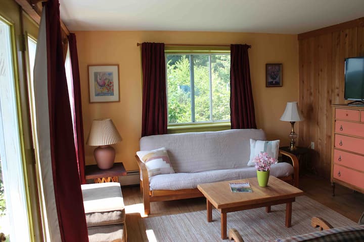 Living room with couch, TV, big windows and gorgeous views.