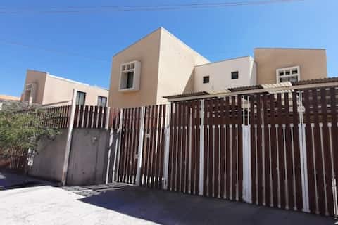 Group travel to the Atacama Desert.
